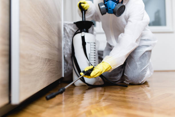 Best Best Pest Control Companies  in Tontitown, AR