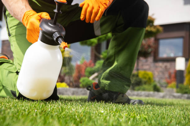 Best Residential Pest Control  in Tontitown, AR