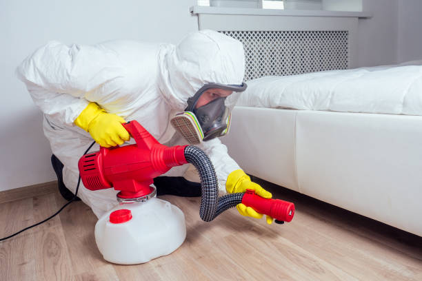 Best Termite Control Services  in Tontitown, AR