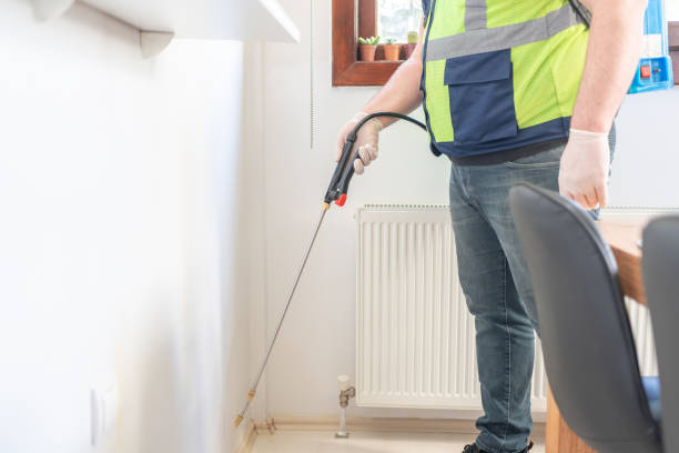 Best Termite Control Services  in Tontitown, AR