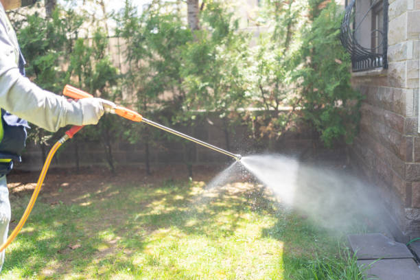 Wildlife Control Services in Tontitown, AR