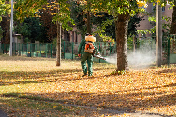 Best Wildlife Control Services  in Tontitown, AR